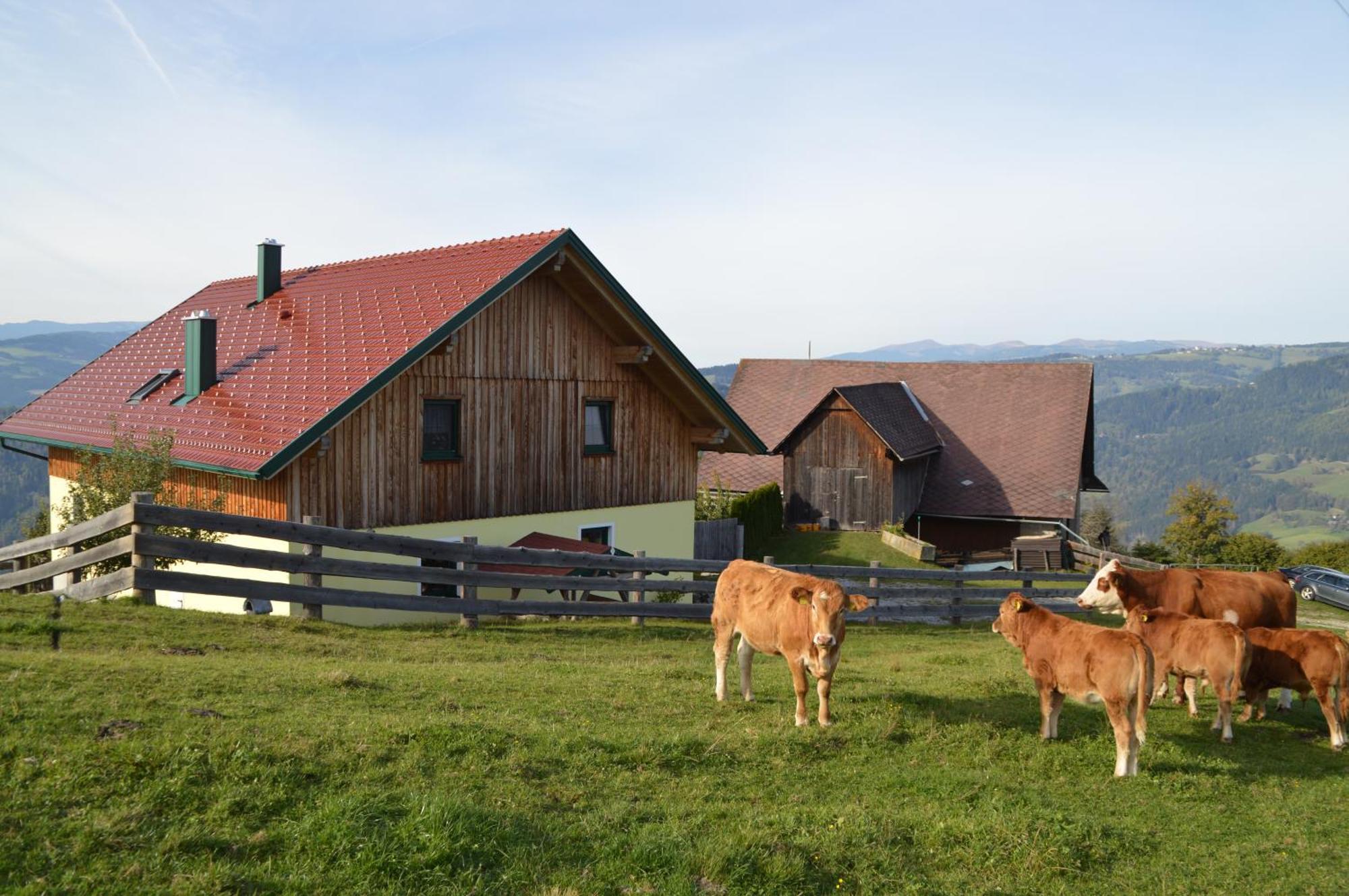 Almferienhaus Russmann Frantschach Exteriér fotografie