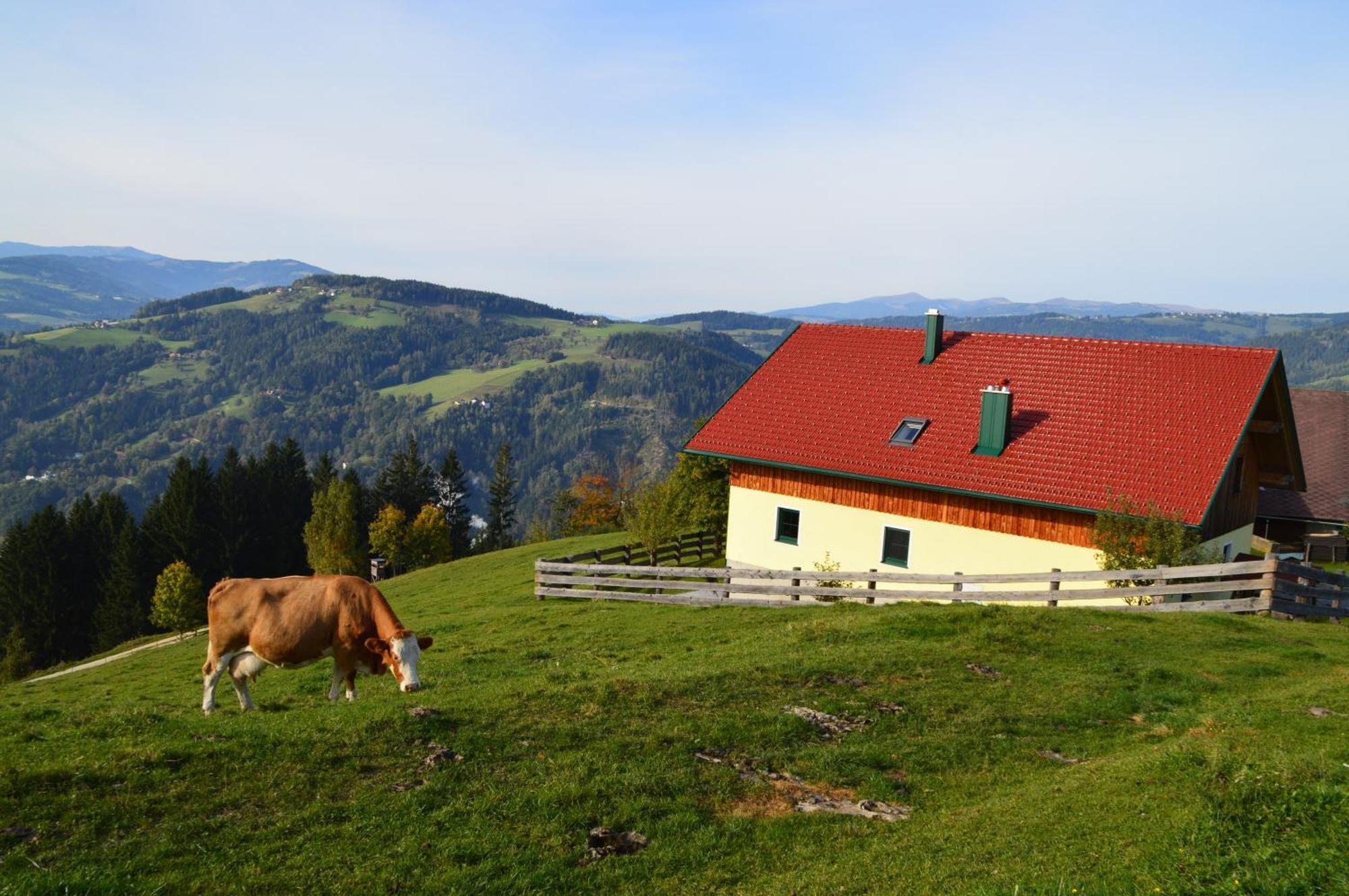Almferienhaus Russmann Frantschach Exteriér fotografie